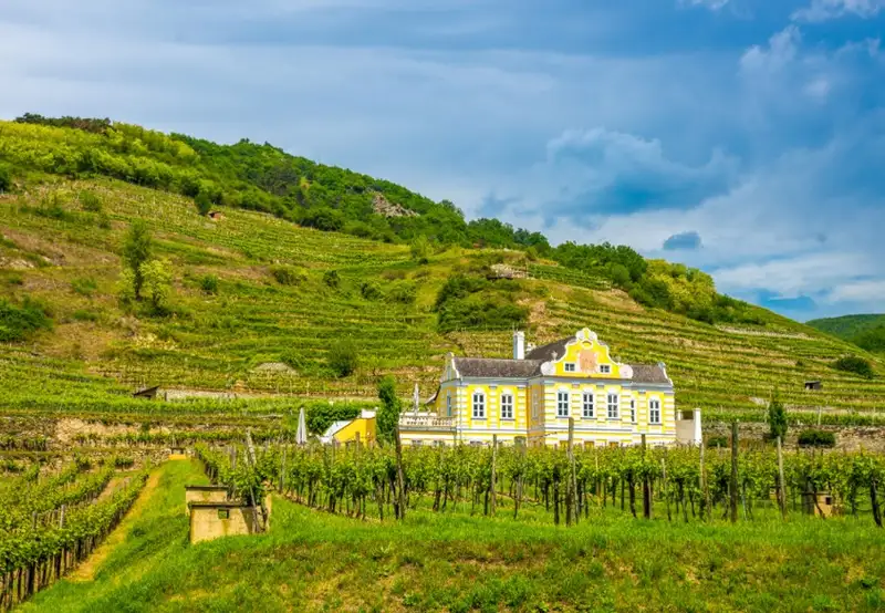 Domäne Wachau Winery
