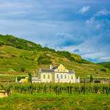 Image related to Domäne Wachau Winery