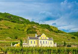 IgluCruise.Application.ViewModels.Shared.WebImageViewModel?.Description