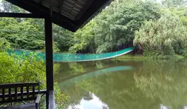 Image related to Rainforest Discovery Centre