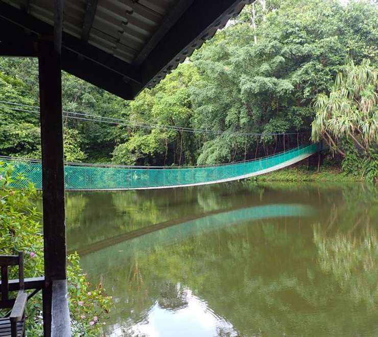 Rainforest Discovery Centre