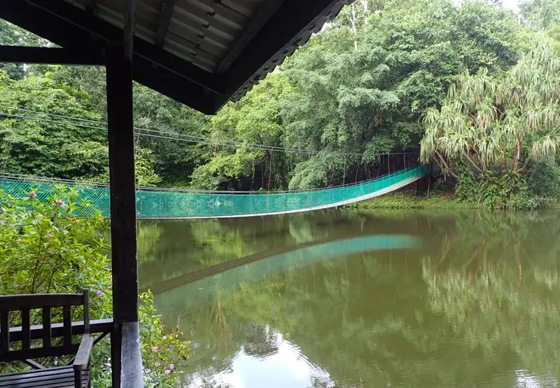 Rainforest Discovery Centre