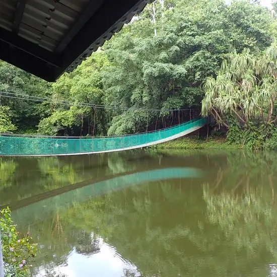 Rainforest Discovery Centre