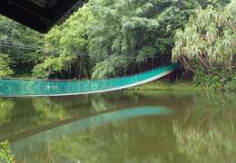 IgluCruise.Application.ViewModels.Shared.WebImageViewModel?.Description