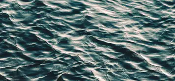 Image related to Fountain of Youth