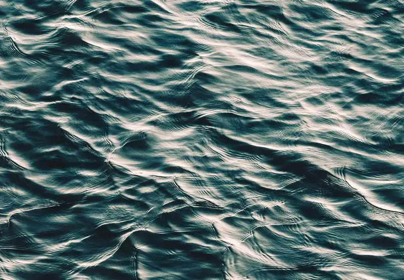 Image related to Fountain of Youth