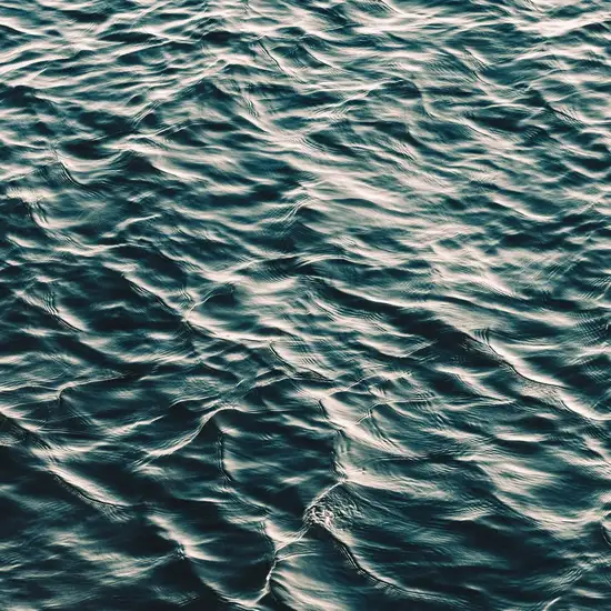 Image related to Fountain of Youth