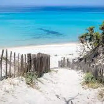 Image related to Try Saleccia & Lotu Beaches