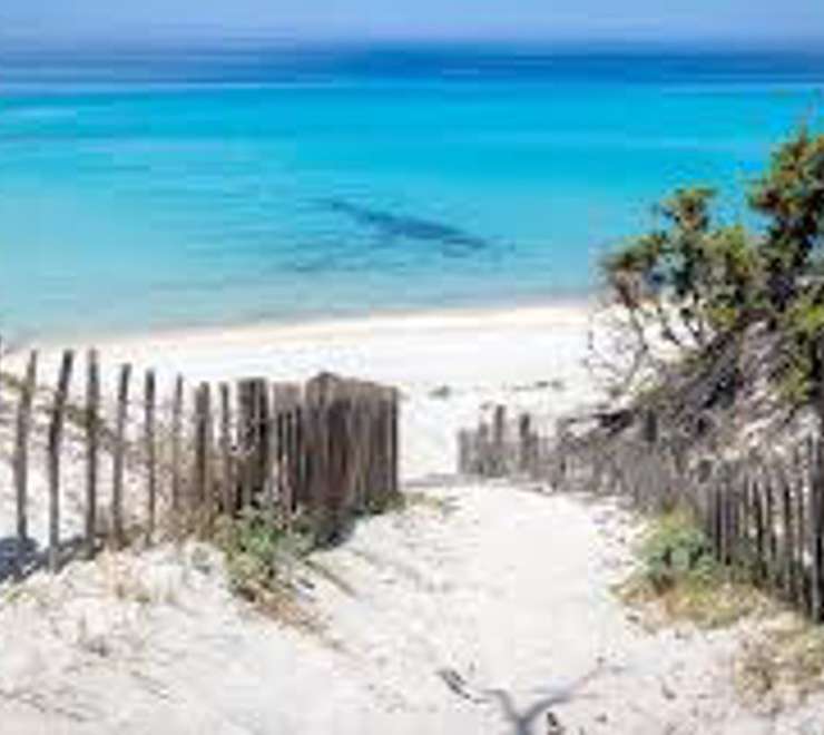 Try Saleccia & Lotu Beaches