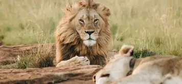 Image related to Wellington Zoo
