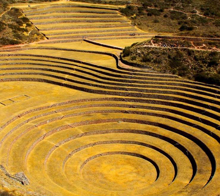 Moray
