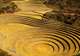 Moray