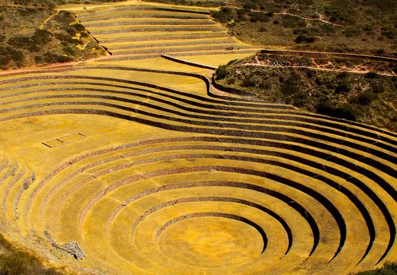 Moray