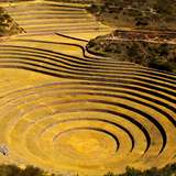 Image related to Moray