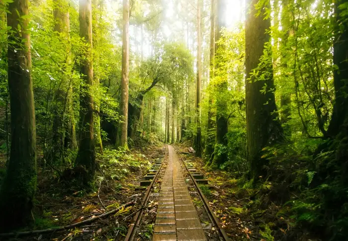 Photo of Day 13: 