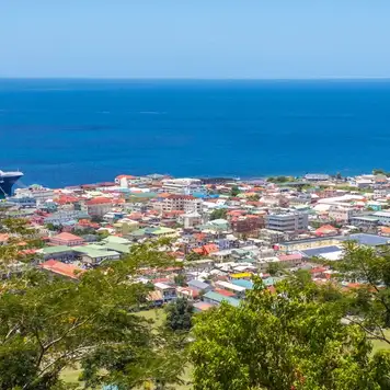 Image related to Roseau