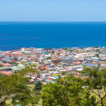 Image related to Roseau