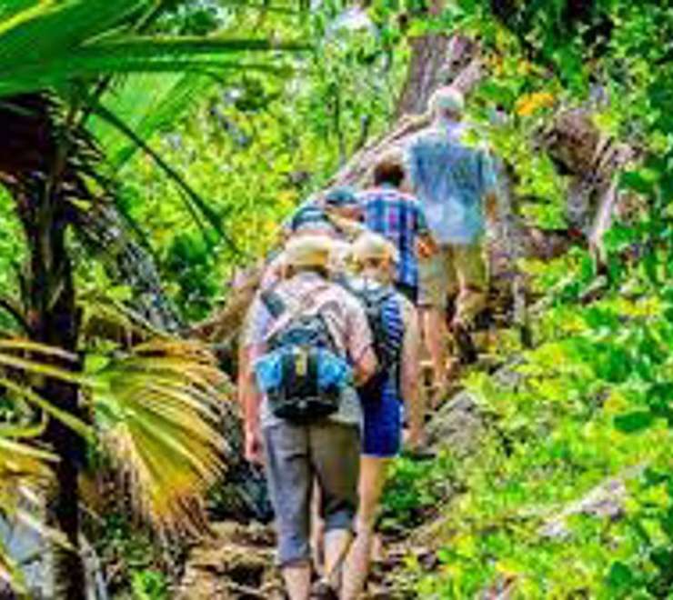 Ranger Led Nature Walks