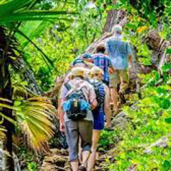 Ranger Led Nature Walks