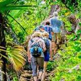 Image related to Ranger Led Nature Walks