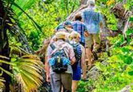 IgluCruise.Application.ViewModels.Shared.WebImageViewModel?.Description