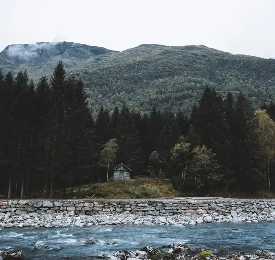Skjolden