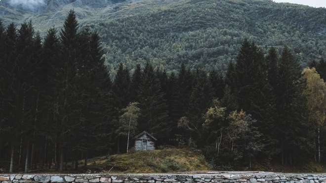 Skjolden 