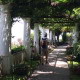 Image related to Villa San Michele