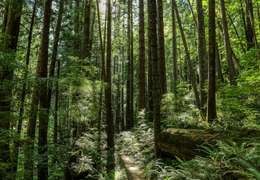 IgluCruise.Application.ViewModels.Shared.WebImageViewModel?.Description