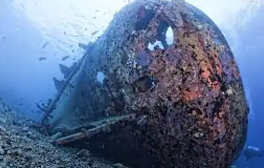 Image related to Million Dollar Point