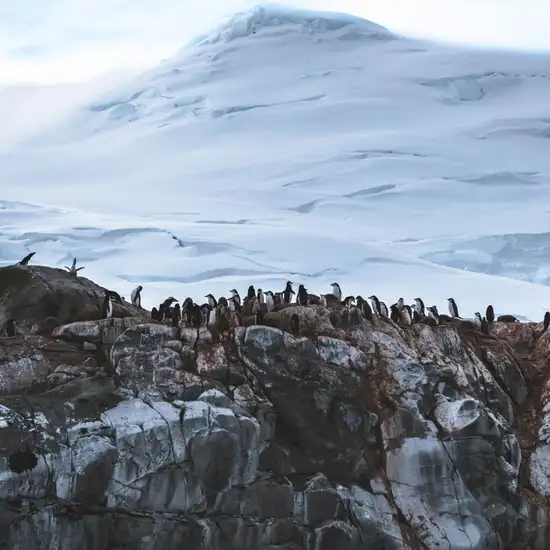 Image related to King George Island