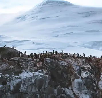 Image related to King George Island