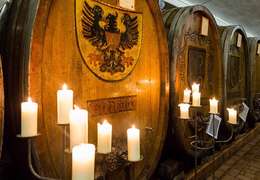 IgluCruise.Application.ViewModels.Shared.WebImageViewModel?.Description