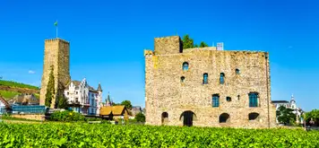 Image related to Rheingau Wine Museum and Brömserburg Castle