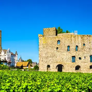 Image related to Rheingau Wine Museum and Brömserburg Castle