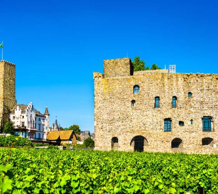 Rheingau Wine Museum and Brömserburg Castle