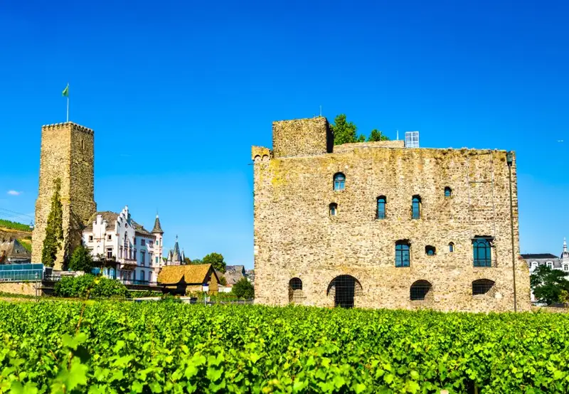 Rheingau Wine Museum and Brömserburg Castle
