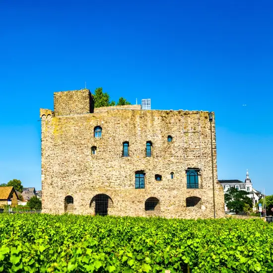 Image related to Rheingau Wine Museum and Brömserburg Castle