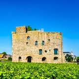 Image related to Rheingau Wine Museum and Brömserburg Castle