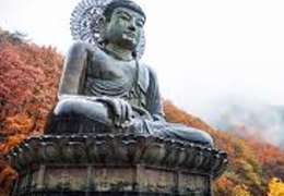 IgluCruise.Application.ViewModels.Shared.WebImageViewModel?.Description