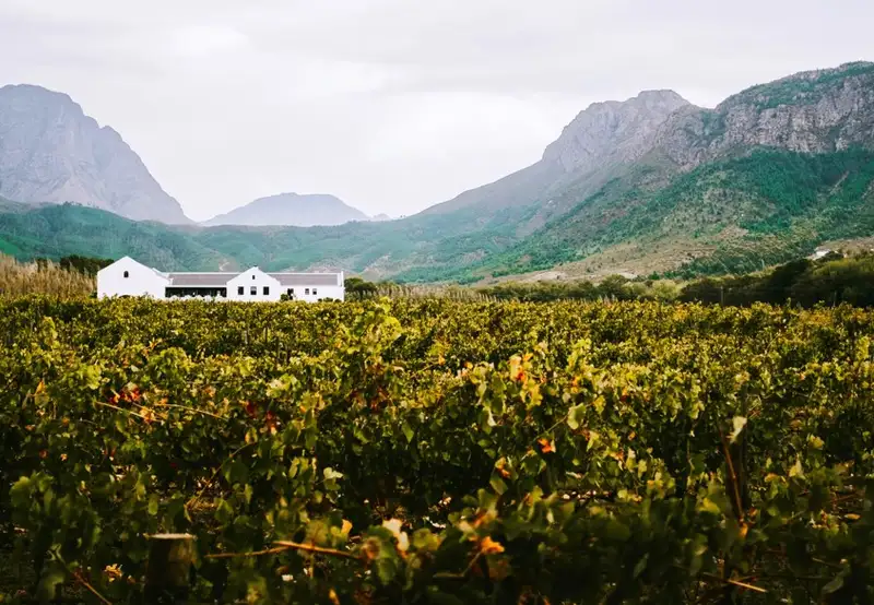 Franschhoek