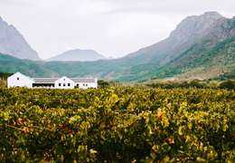 IgluCruise.Application.ViewModels.Shared.WebImageViewModel?.Description