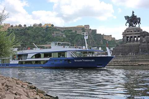 Image related to Avalon Visionary