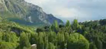 Image related to Reserva Nacional Rio Simpson