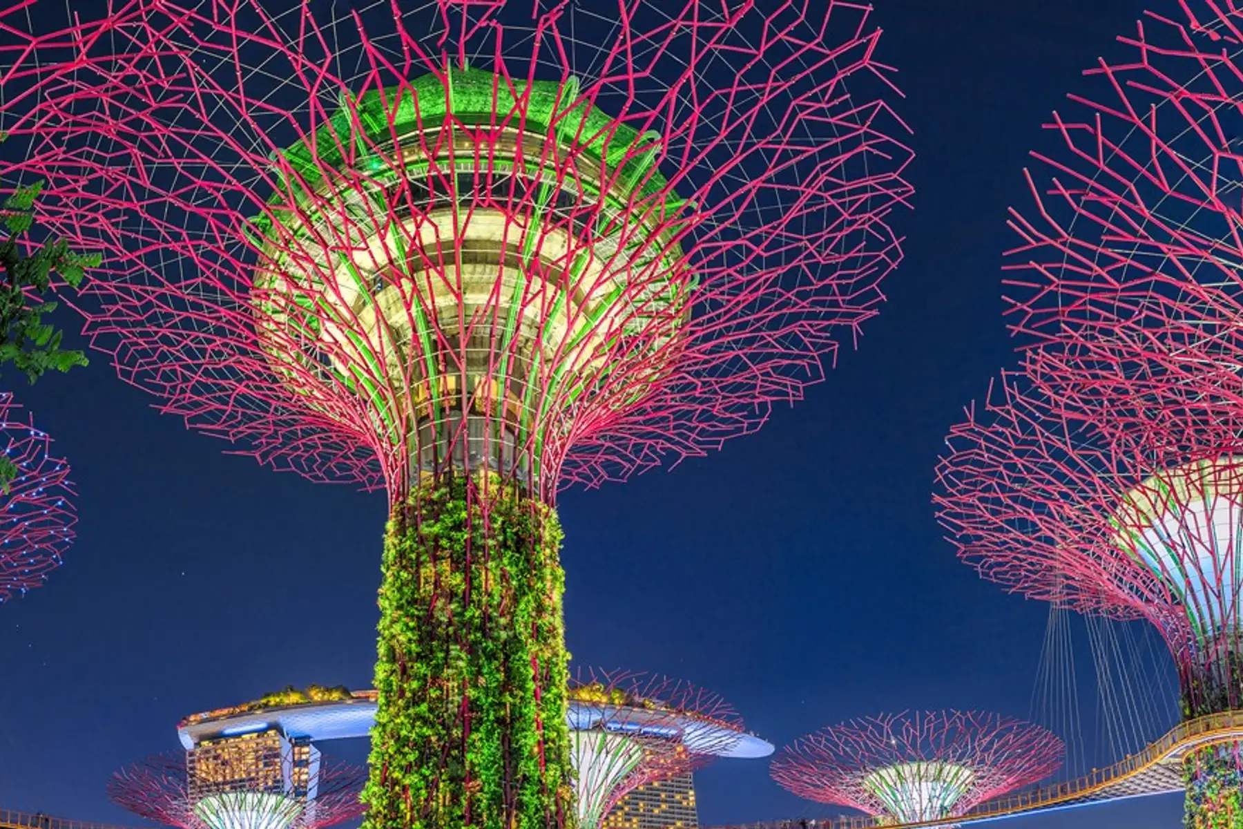 Image related to Far East Cruises