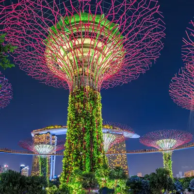 Cruise holiday campaign