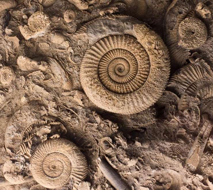 The Archaeological Museum of Kefalonia