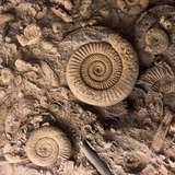 Archaeological Museum Argostoli Kefalonia Greece
