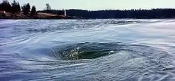 The Old Sow Whirlpool