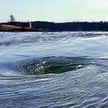 Image related to The Old Sow Whirlpool